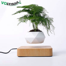 Load image into Gallery viewer, Hot Sale Levitating Air Bonsai Pot Rotation Planters Magnetic Levitation Suspension Flower Floating Pot Potted Plant Desk Decor
