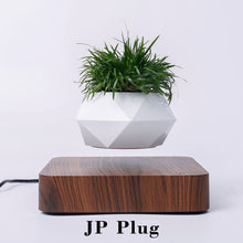 Load image into Gallery viewer, Hot Sale Levitating Air Bonsai Pot Rotation Planters Magnetic Levitation Suspension Flower Floating Pot Potted Plant Desk Decor
