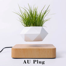 Load image into Gallery viewer, Hot Sale Levitating Air Bonsai Pot Rotation Planters Magnetic Levitation Suspension Flower Floating Pot Potted Plant Desk Decor
