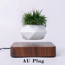 Load image into Gallery viewer, Hot Sale Levitating Air Bonsai Pot Rotation Planters Magnetic Levitation Suspension Flower Floating Pot Potted Plant Desk Decor
