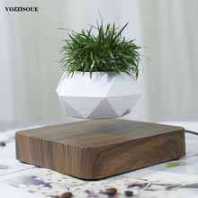 Load image into Gallery viewer, Hot Sale Levitating Air Bonsai Pot Rotation Planters Magnetic Levitation Suspension Flower Floating Pot Potted Plant Desk Decor
