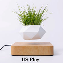 Load image into Gallery viewer, Hot Sale Levitating Air Bonsai Pot Rotation Planters Magnetic Levitation Suspension Flower Floating Pot Potted Plant Desk Decor
